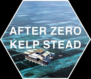 After Zero Kelp Stead